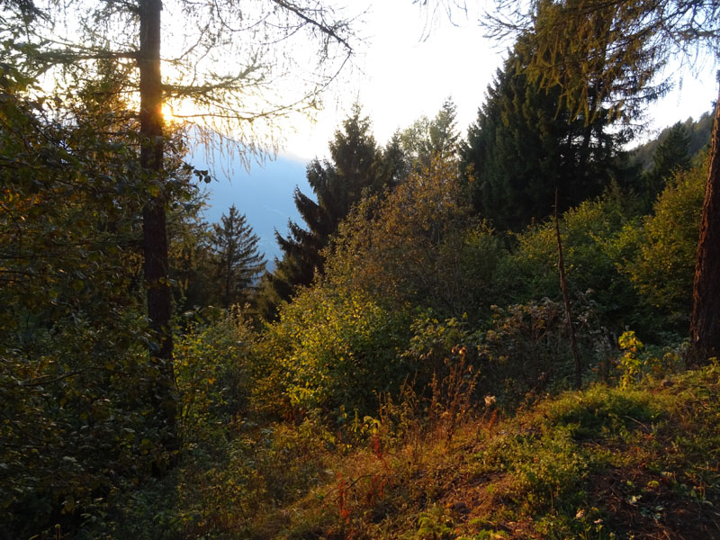 Catena dei Lagorai...da Pergine al Passo del Manghen